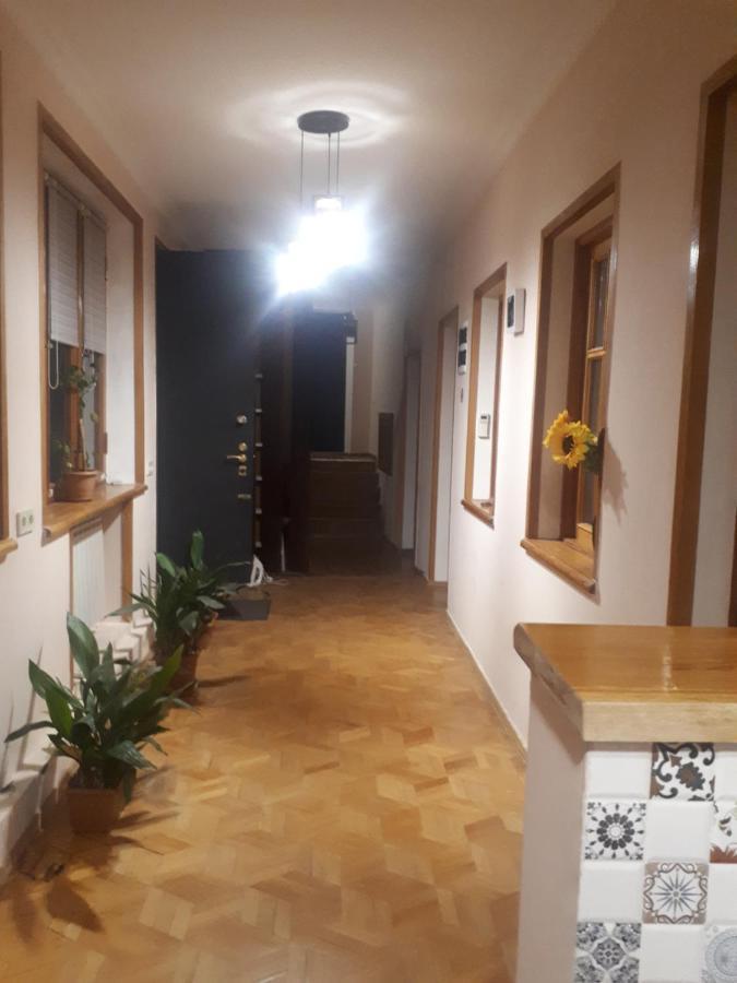 Sunflower Hotel 第比利斯 外观 照片